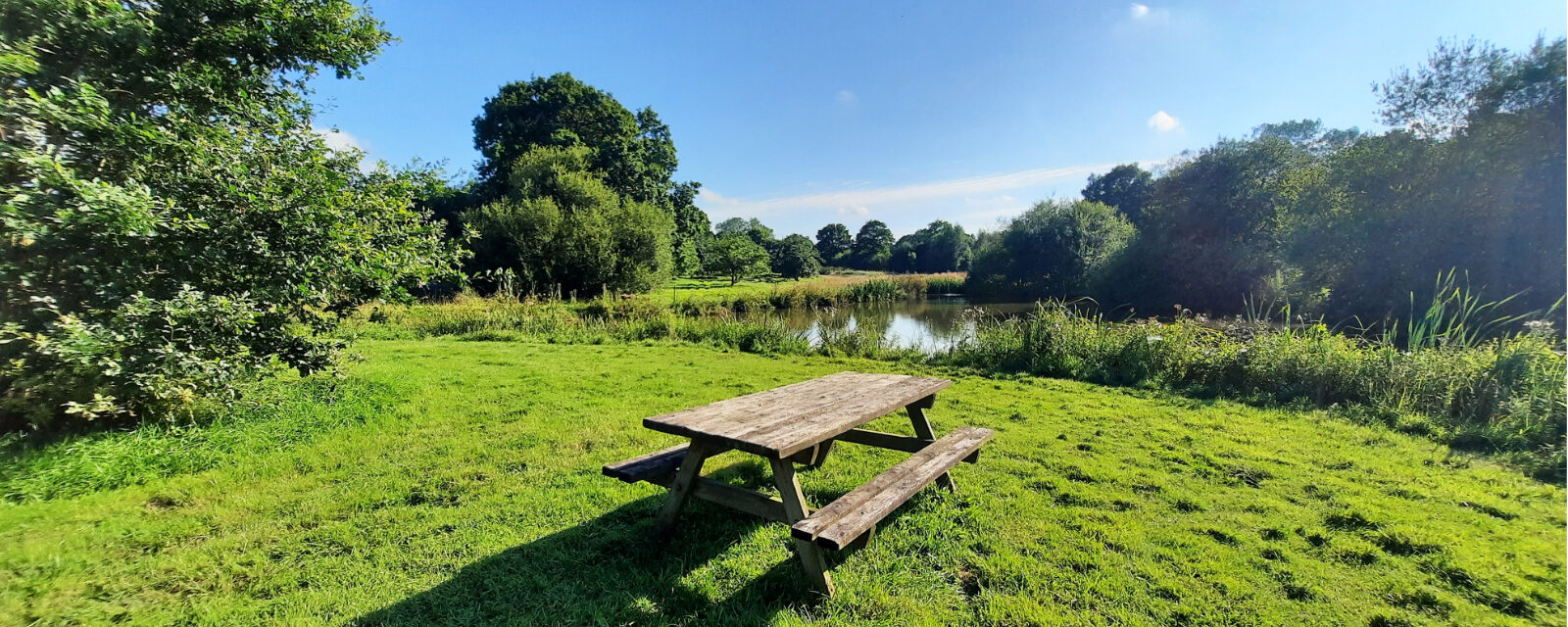 Table de picnic, le verger de Kermauny