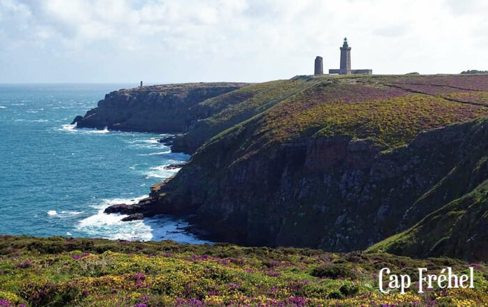 Le cap Fréhel - Le verger de Kermauny